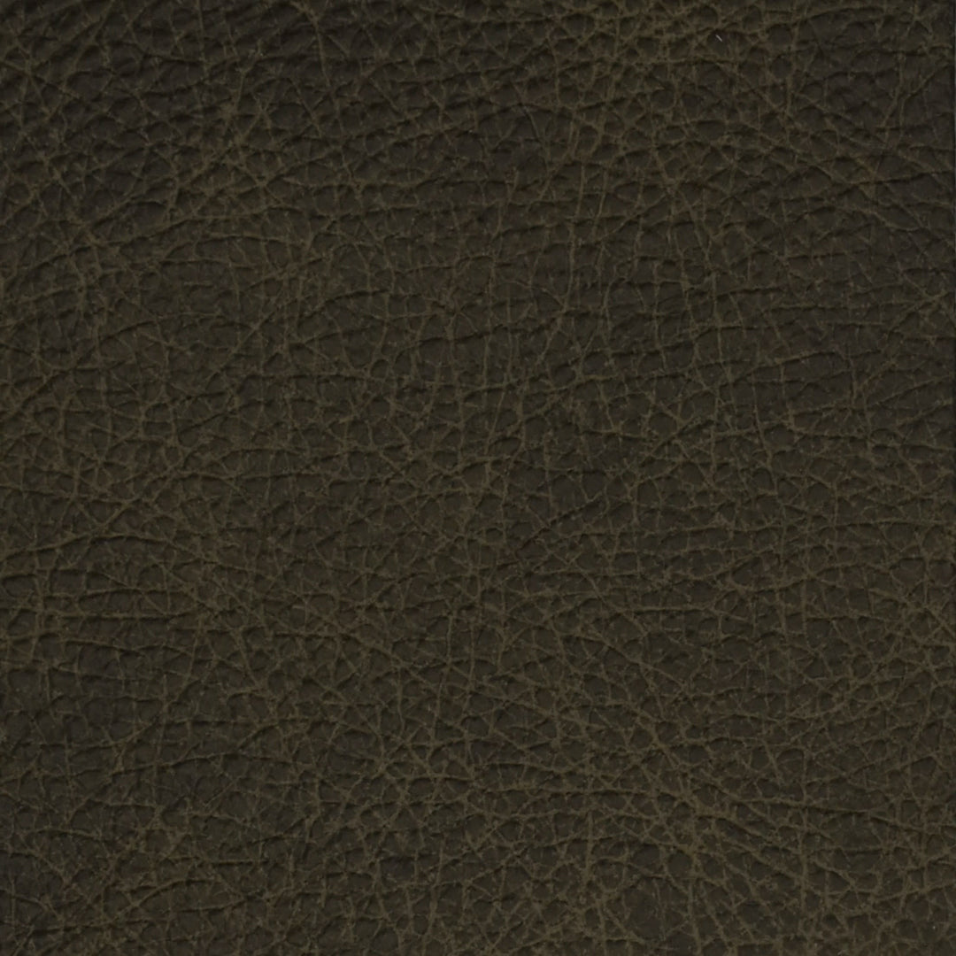 F2065 Lithium by Greenhouse Designer Fabric