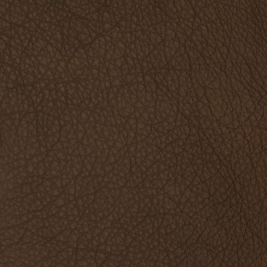 F2090 Syrup by Greenhouse Designer Fabric