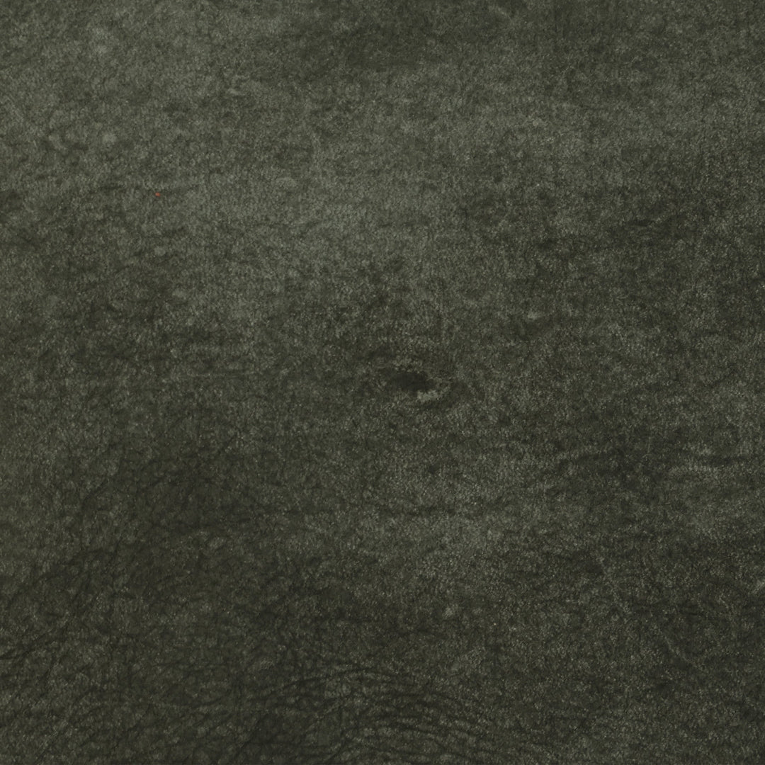 F2106 Iron by Greenhouse Designer Fabric