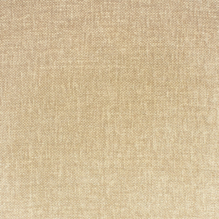 F2143 Oat by Greenhouse Designer Fabric 100% Polyester India 80,000 </p><p>Repeat: None 55" - Swanky Fabrics -