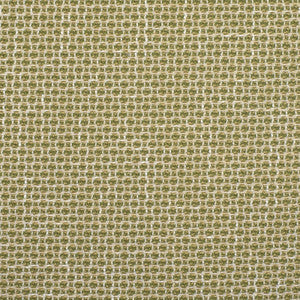 Greenhouse Fabric F2353 Cactus