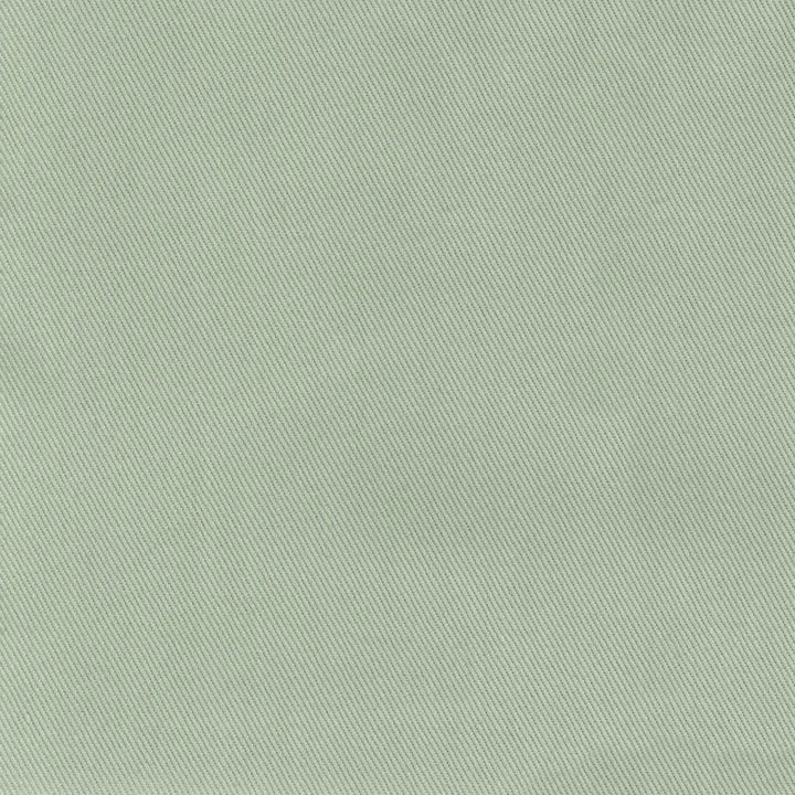 F2544 Sage by Greenhouse Designer Fabric F05: Performance Color 100% Cotton USA 100,000 double rubs Performance </p><p>Repeat: None 56" - Swanky Fabrics -