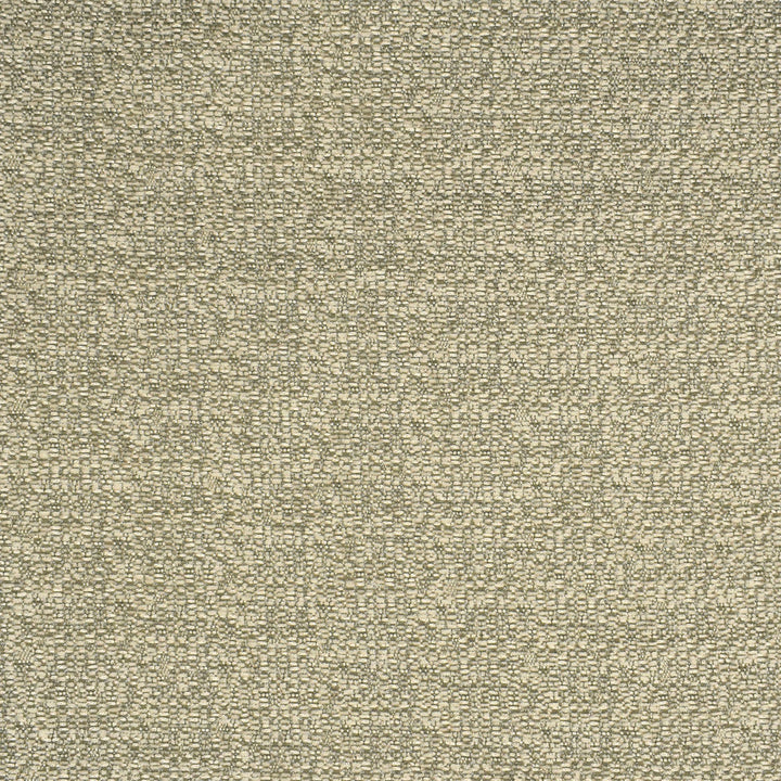 F2749 Birch by Greenhouse Designer Fabric 100% Polyester China 30,000 double rubs </p><p>Repeat: None 58" - Swanky Fabrics -