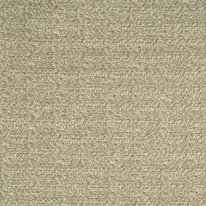 Greenhouse Fabric F2749 Birch