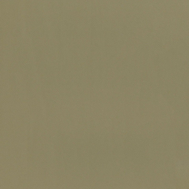 F2868 Taupe by Greenhouse Designer Fabric 100% Vinyl, Backing: 100% Polyester China 1,500,000 </p><p>Repeat: None 54" - Swanky Fabrics -