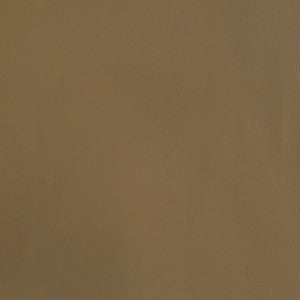 Greenhouse Fabric F2868 Taupe