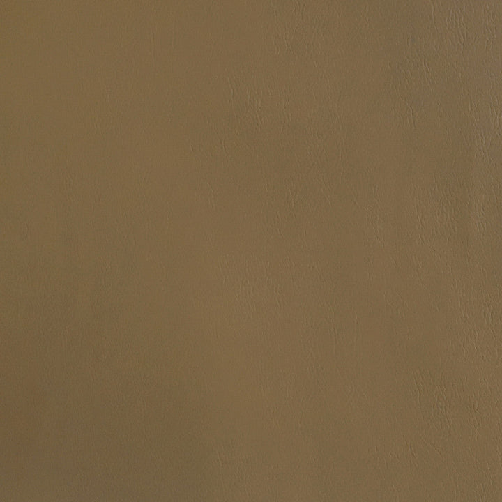 F2868 Taupe by Greenhouse Designer Fabric E77: Value Vinyl Face: 100% Pvc Back: 100% Polyester Mildew Resistant Cold Crack: -55° C 1,500 Light Hours Weight: 33.10 Oz/Lin. Yd Thickness: 1.10 Mm Fr Additive Free, Prop 65 Compliant China 1,500,000 double rubs Endurepel </p><p>Repeat: None 55" - Swanky Fabrics -