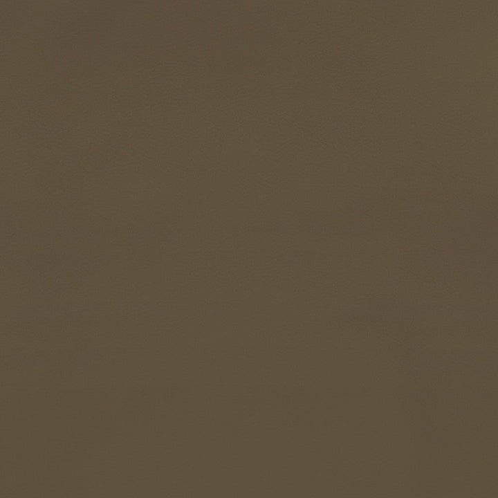 F2870 Mocha by Greenhouse Designer Fabric E77: Value Vinyl Face: 100% Pvc Back: 100% Polyester Mildew Resistant Cold Crack: -55° C 1,500 Light Hours Weight: 33.10 Oz/Lin. Yd Thickness: 1.10 Mm Fr Additive Free, Prop 65 Compliant China 1,500,000 double rubs Endurepel </p><p>Repeat: None 55" - Swanky Fabrics -