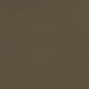 Greenhouse Fabric F2870 Mocha