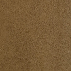 Greenhouse Fabric F2872 Tan