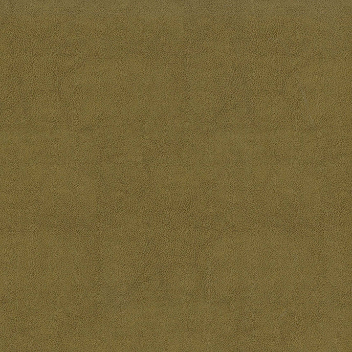 F2872 Tan by Greenhouse Designer Fabric 100% Vinyl, Backing: 100% Polyester China 1,500,000 </p><p>Repeat: None 54" - Swanky Fabrics -