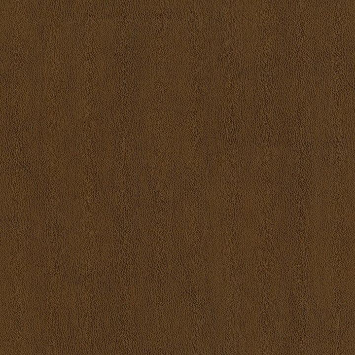 F2873 Amber by Greenhouse Designer Fabric 100% Pvc, Backing: 100% Polyester China 1500000 </p><p>Repeat: None 54" - Swanky Fabrics -