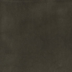 Greenhouse Fabric F2880 Charcoal