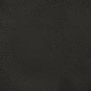 Greenhouse Fabric F2881 Raven