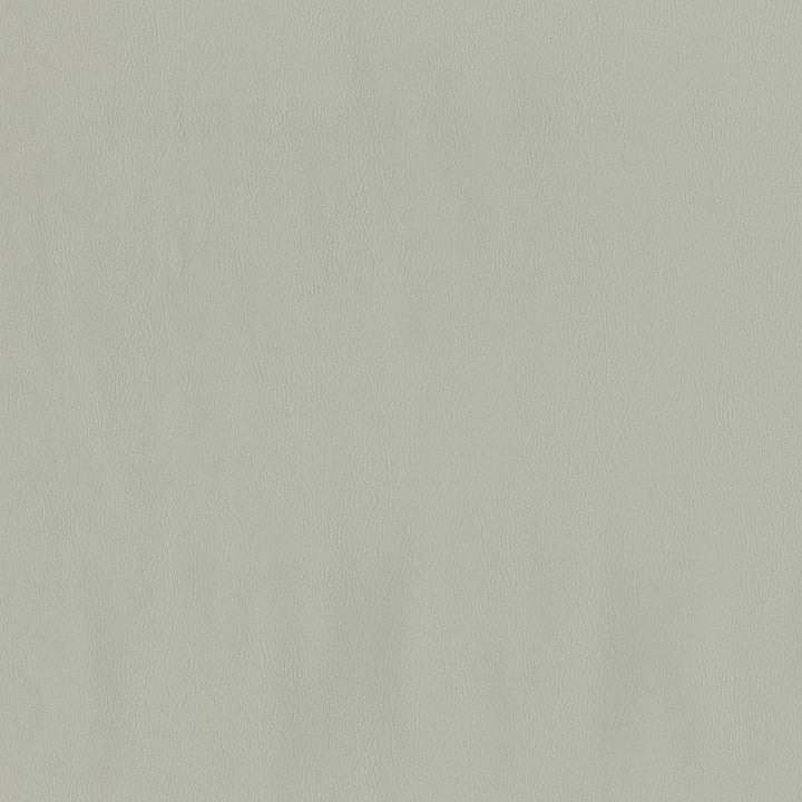F2883 Seagull by Greenhouse Designer Fabric 100% Vinyl, Backing: 100% Polyester China 1,500,000 </p><p>Repeat: None 54" - Swanky Fabrics -