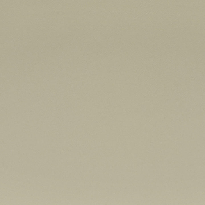 F2883 Seagull by Greenhouse Designer Fabric Face: 100% Pvc Back: 100% Polyester Mildew Resistant Cold Crack: -55Â° C 1,500 Light Hours Weight: 33.10 Oz/Lin. Yd Thickness: 1.10 Mm Fr Additive Free, Prop 65 Compliant China 1,500,000 double rubs </p><p>Repeat: NONE 55" - Swanky Fabrics -
