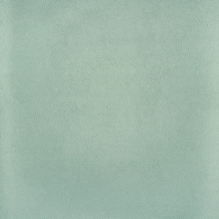 F2886 Spa by Greenhouse Designer Fabric Face: 100% Pvc Back: 100% Polyester Mildew Resistant Cold Crack: -55° C 1,500 Light Hours Weight: 33.10 Oz/Lin. Yd Thickness: 1.10 Mm Fr Additive Free, Prop 65 Compliant China 1,500,000 double rubs </p><p>Repeat: NONE 55" - Swanky Fabrics -