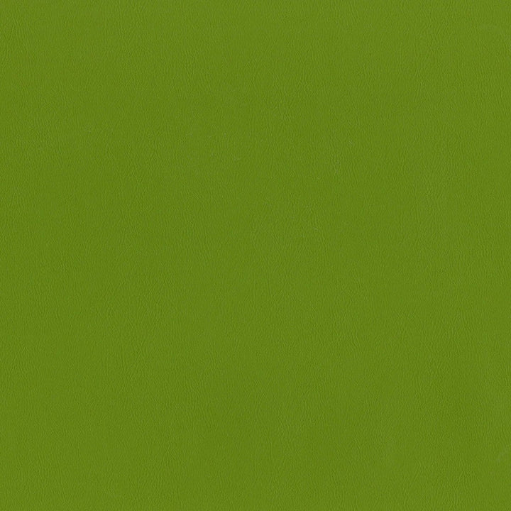 F2898 Spring by Greenhouse Designer Fabric 100% Vinyl, Backing: 100% Polyester China 1,500,000 </p><p>Repeat: None 54" - Swanky Fabrics -
