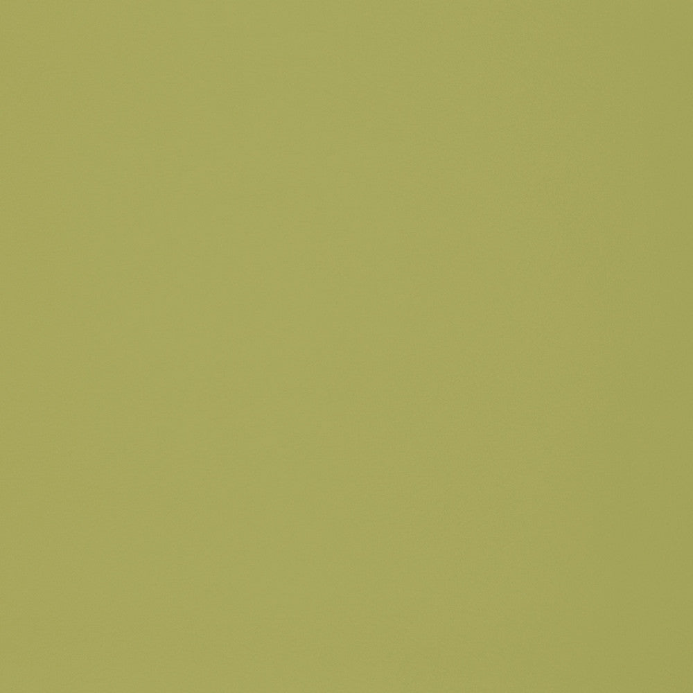 F2899 Meadow by Greenhouse Designer Fabric E77: Value Vinyl Face: 100% Pvc Back: 100% Polyester Mildew Resistant Cold Crack: -55° C 1,500 Light Hours Weight: 33.10 Oz/Lin. Yd Thickness: 1.10 Mm Fr Additive Free, Prop 65 Compliant China 1,500,000 double rubs Endurepel </p><p>Repeat: None 55" - Swanky Fabrics -