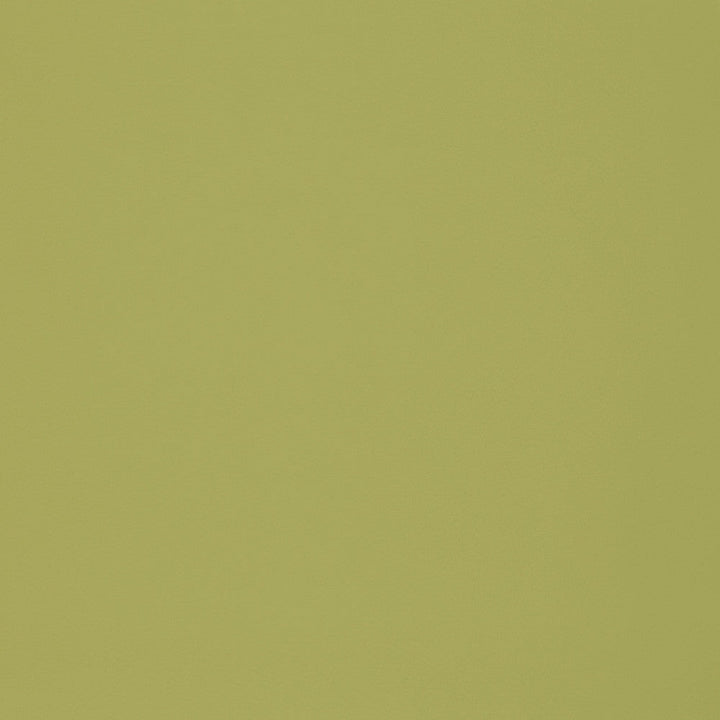 F2899 Meadow by Greenhouse Designer Fabric E77: Value Vinyl Face: 100% Pvc Back: 100% Polyester Mildew Resistant Cold Crack: -55° C 1,500 Light Hours Weight: 33.10 Oz/Lin. Yd Thickness: 1.10 Mm Fr Additive Free, Prop 65 Compliant China 1,500,000 double rubs Endurepel </p><p>Repeat: None 55" - Swanky Fabrics -