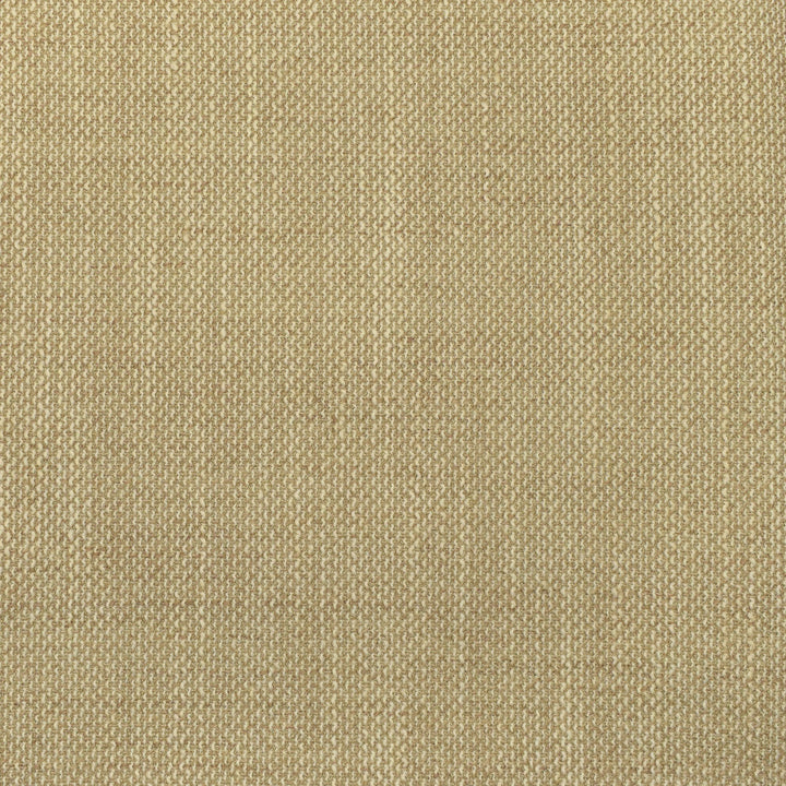 F2933 Vanilla by Greenhouse Designer Fabric 100% Polyester China 63,000 double rubs </p><p>Repeat: None 56" - Swanky Fabrics -
