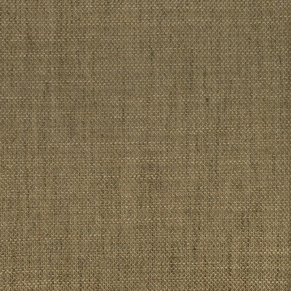 F2938 Fossil by Greenhouse Designer Fabric 100% Polyester CHINA 63,000 </p><p>Repeat: None 56" - Swanky Fabrics -