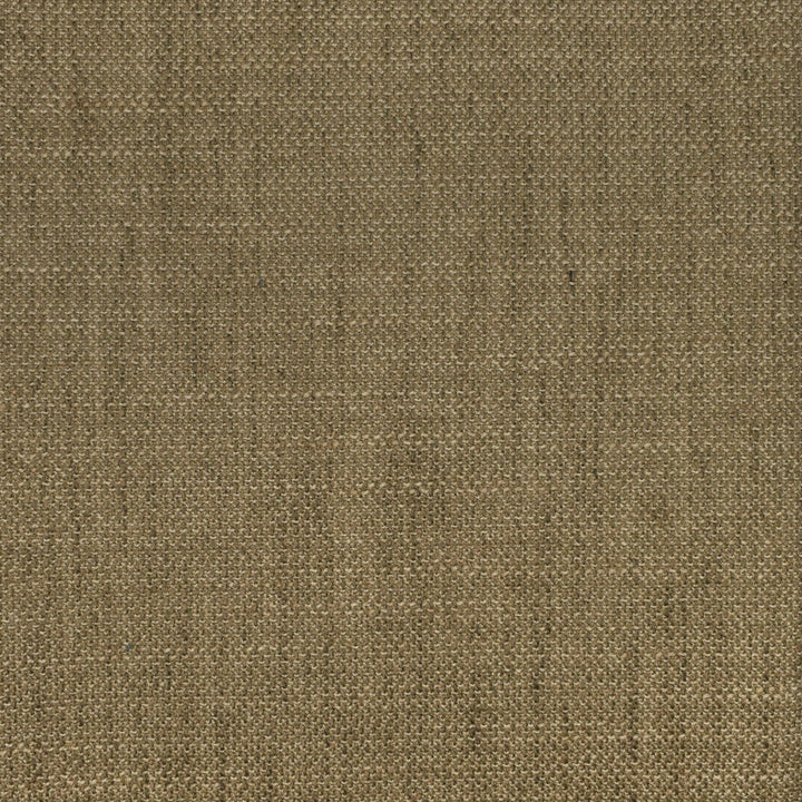 F2938 Fossil by Greenhouse Designer Fabric 100% Polyester CHINA 63,000 </p><p>Repeat: None 56" - Swanky Fabrics -