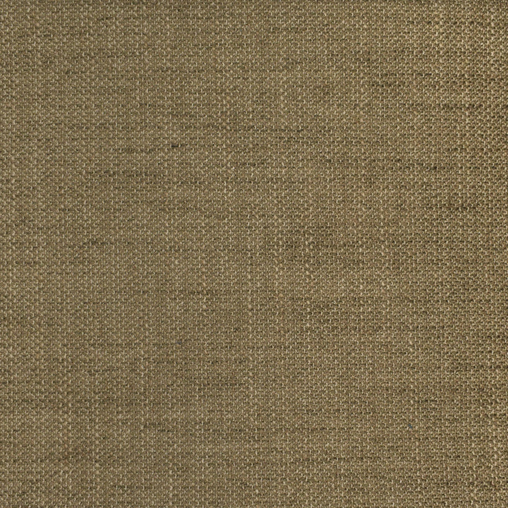 F2938 Fossil by Greenhouse Designer Fabric 100% Polyester China 63,000 double rubs </p><p>Repeat: None 56" - Swanky Fabrics -