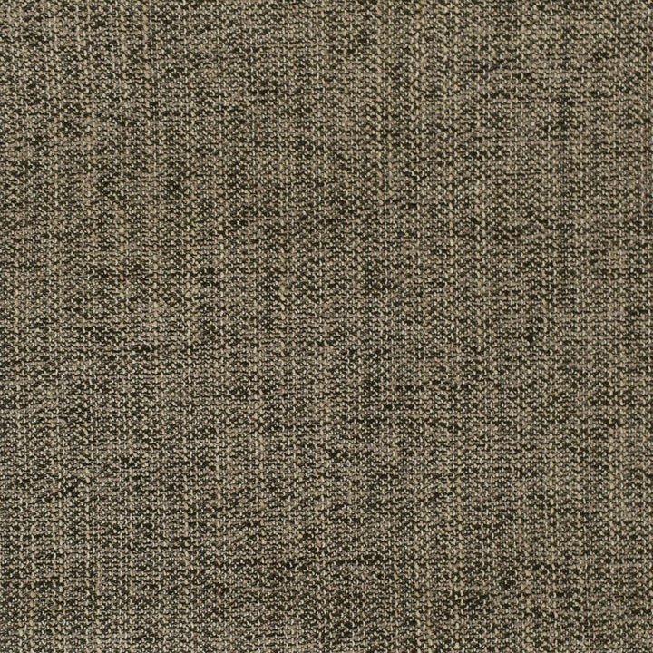 F2950 Coal by Greenhouse Designer Fabric E79: Value Textures Neutral 100% Polyester China 63,000 double rubs </p><p>Repeat: None 56" - Swanky Fabrics -