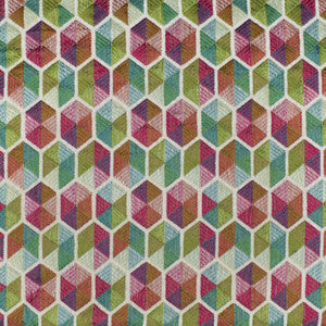 Greenhouse Fabric F2998 Carousel