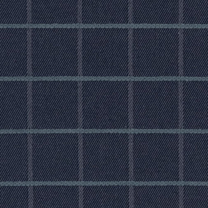 F300-137 by Charlotte Designer Fabric Horizon 71% Cotton, 29% Polyester Made In USA Exceeds 20,0000 Wyzenbeek Rubs (Heavy Duty) </p><p>Repeat: Horizontal 2.5" x Vertical 2.5" 54 Inches - Swanky Fabrics -