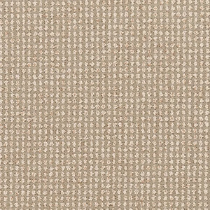 Charlotte Fabric F300-174