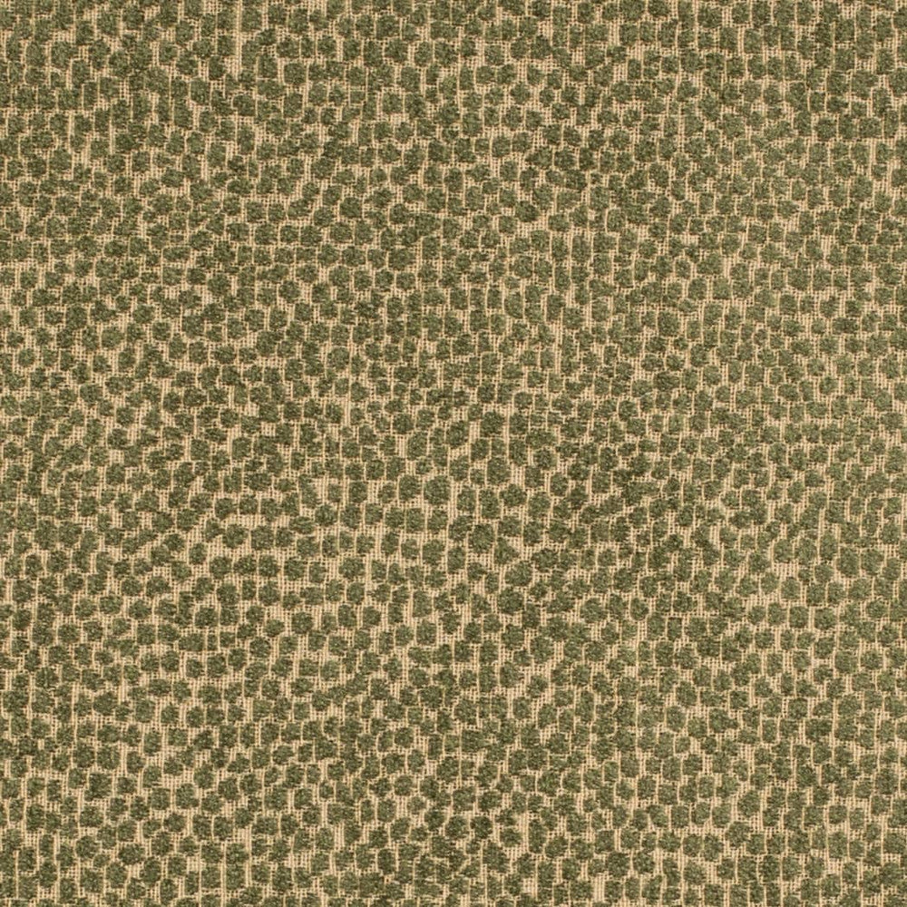 F300-265 by Charlotte Designer Fabric Cypress 100% Polypropylene USA </p><p>Repeat: No Repeat 54 Inches - Swanky Fabrics -