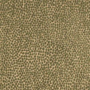 Charlotte Fabric F300-265