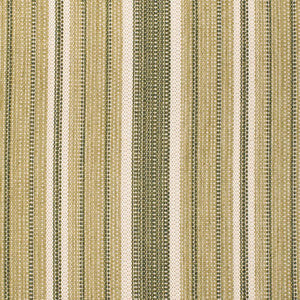 Charlotte Fabric F300-272