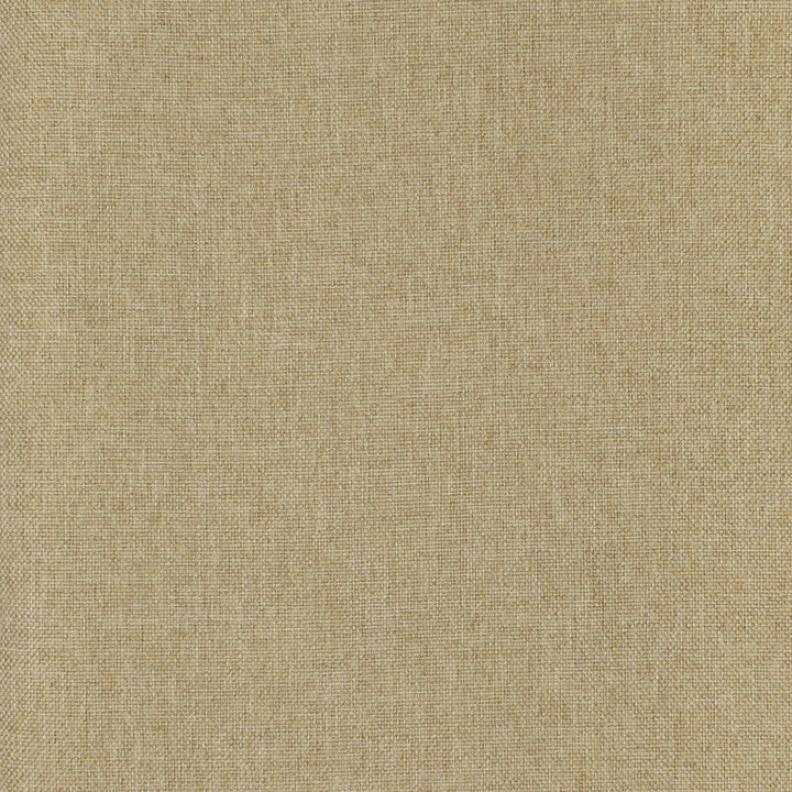 F3073 Dune by Greenhouse Designer Fabric E82: Value Performance 100% Polyester China 100,000 double rubs Endurepel </p><p>Repeat: None 57" - Swanky Fabrics -