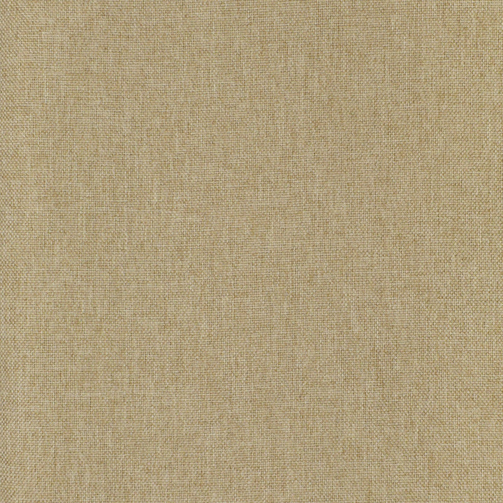 F3073 Dune by Greenhouse Designer Fabric 100% Polyester China 100,000 </p><p>Repeat: None 57" - Swanky Fabrics -