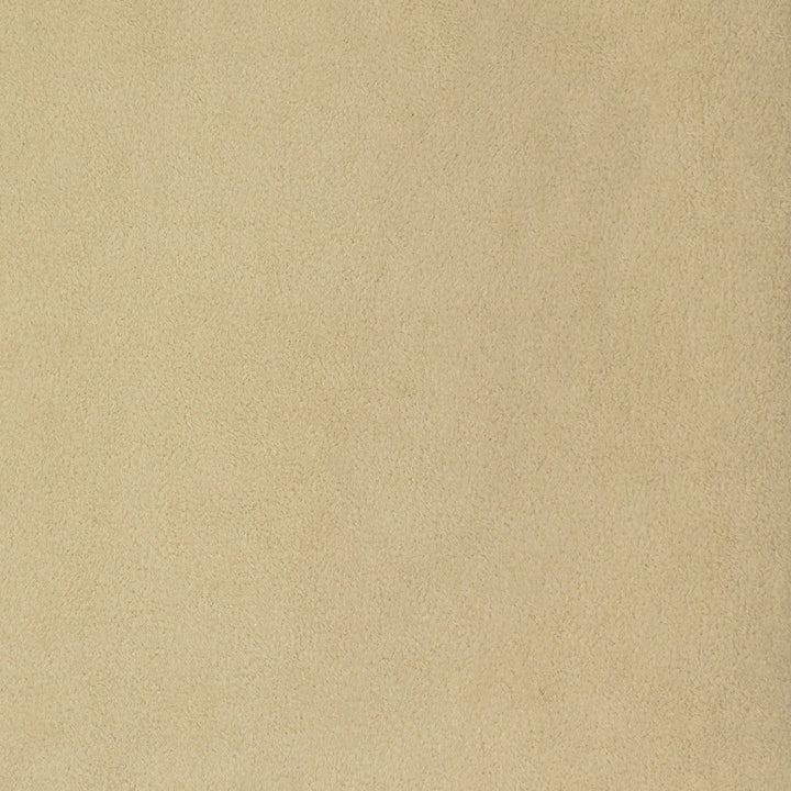 F3154 Alabaster by Greenhouse Designer Fabric 100% Polyester, Back: 100% Acrylic China 50,000 double rubs </p><p>Repeat: None 55" - Swanky Fabrics -