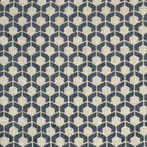 Greenhouse Fabric F3248 Puddle