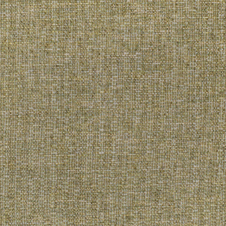 F3283 Mushroom by Greenhouse Designer Fabric 100% Polyester China 27,000 double rubs </p><p>Repeat: None 56" - Swanky Fabrics -