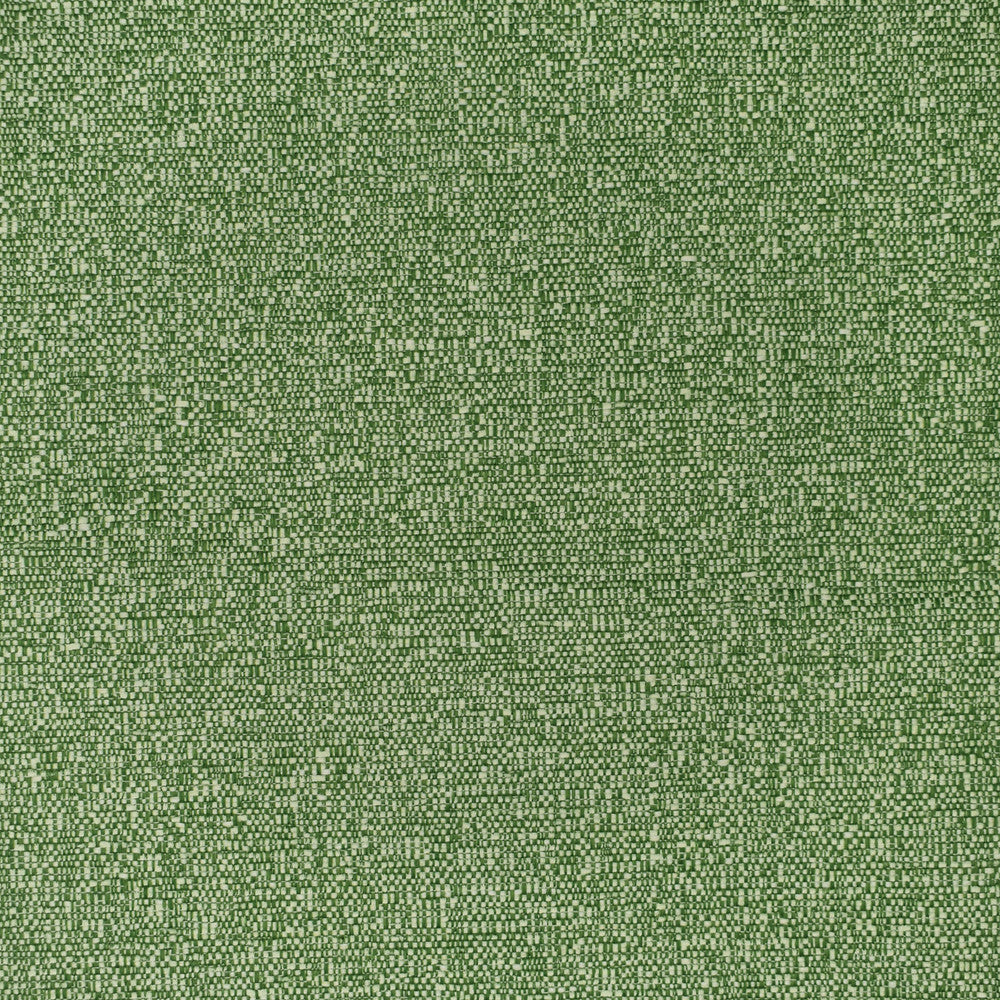 F3404 Grass by Greenhouse Designer Fabric E91: Value Color 100% Polyester China 60,000 double rubs </p><p>Repeat: None 54" - Swanky Fabrics -