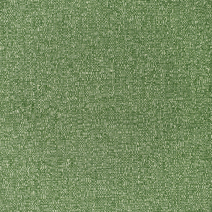 F3404 Grass by Greenhouse Designer Fabric 100% Polyester China 60,000 double rubs </p><p>Repeat: None 54" - Swanky Fabrics -