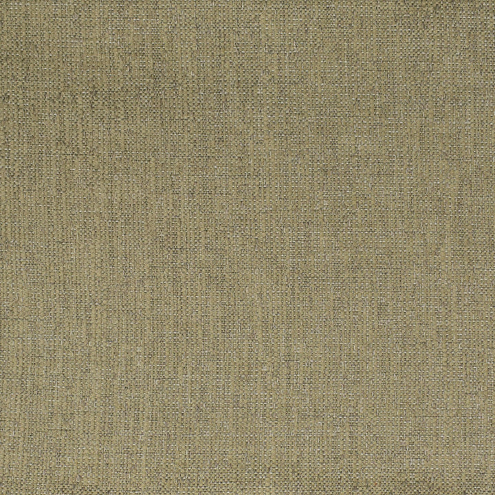 F3541 Stone by Greenhouse Designer Fabric 68.28% Olefin, 31.72% Polyester (Uv) USA 33,000 double rubs </p><p>Repeat: 6.906" H, 10.188" V 56" - Swanky Fabrics -