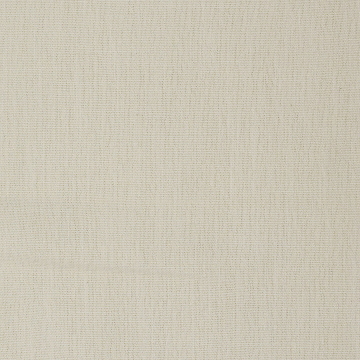 F3629 Vanilla by Greenhouse Designer Fabric E96: textures by COLOR 72% Polyester, 20% Rayon, 8% Linen China 90,000 double rubs </p><p>Repeat: None 57" - Swanky Fabrics -