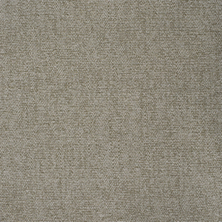 F3681 Mushroom by Greenhouse Designer Fabric 100% Polyester China 31,000 double rubs </p><p>Repeat: None 57" - Swanky Fabrics -