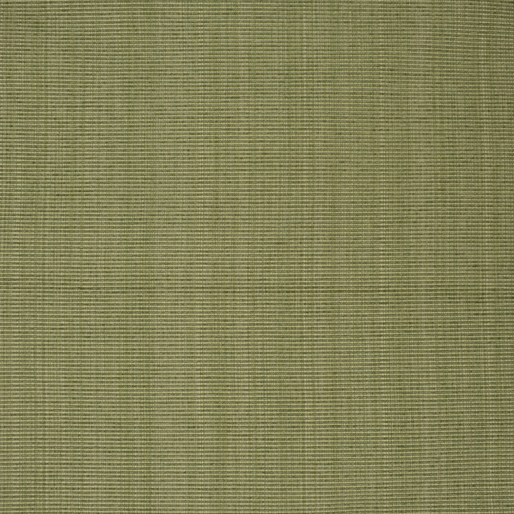 F3752 Sage by Greenhouse Designer Fabric E98: textures by COLOR 51% Cotton, 30% Polyester, 19% Rayon China 60,000 double rubs </p><p>Repeat: None 60" - Swanky Fabrics -