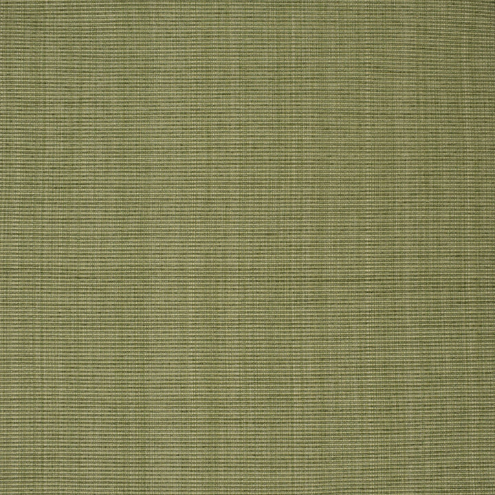 F3752 Sage by Greenhouse Designer Fabric 51% Cotton, 30% Polyester, 19% Rayon China 60,000 double rubs </p><p>Repeat: None 60" - Swanky Fabrics -