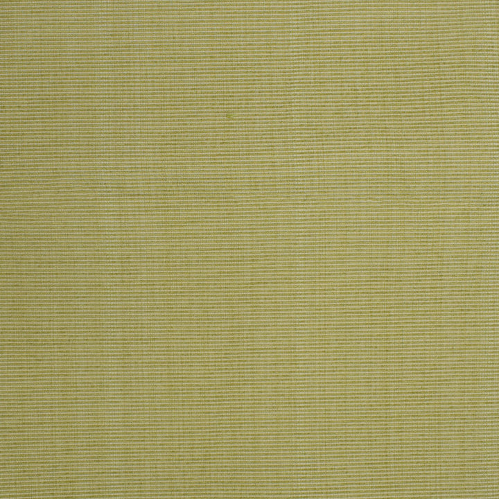 F3756 Spring by Greenhouse Designer Fabric 51% Cotton, 30% Polyester, 19% Rayon China 60,000 double rubs </p><p>Repeat: None 60" - Swanky Fabrics -