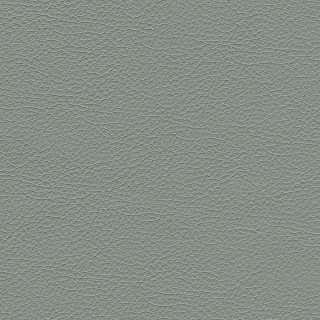 F3832 Tempest by Greenhouse Designer Fabric