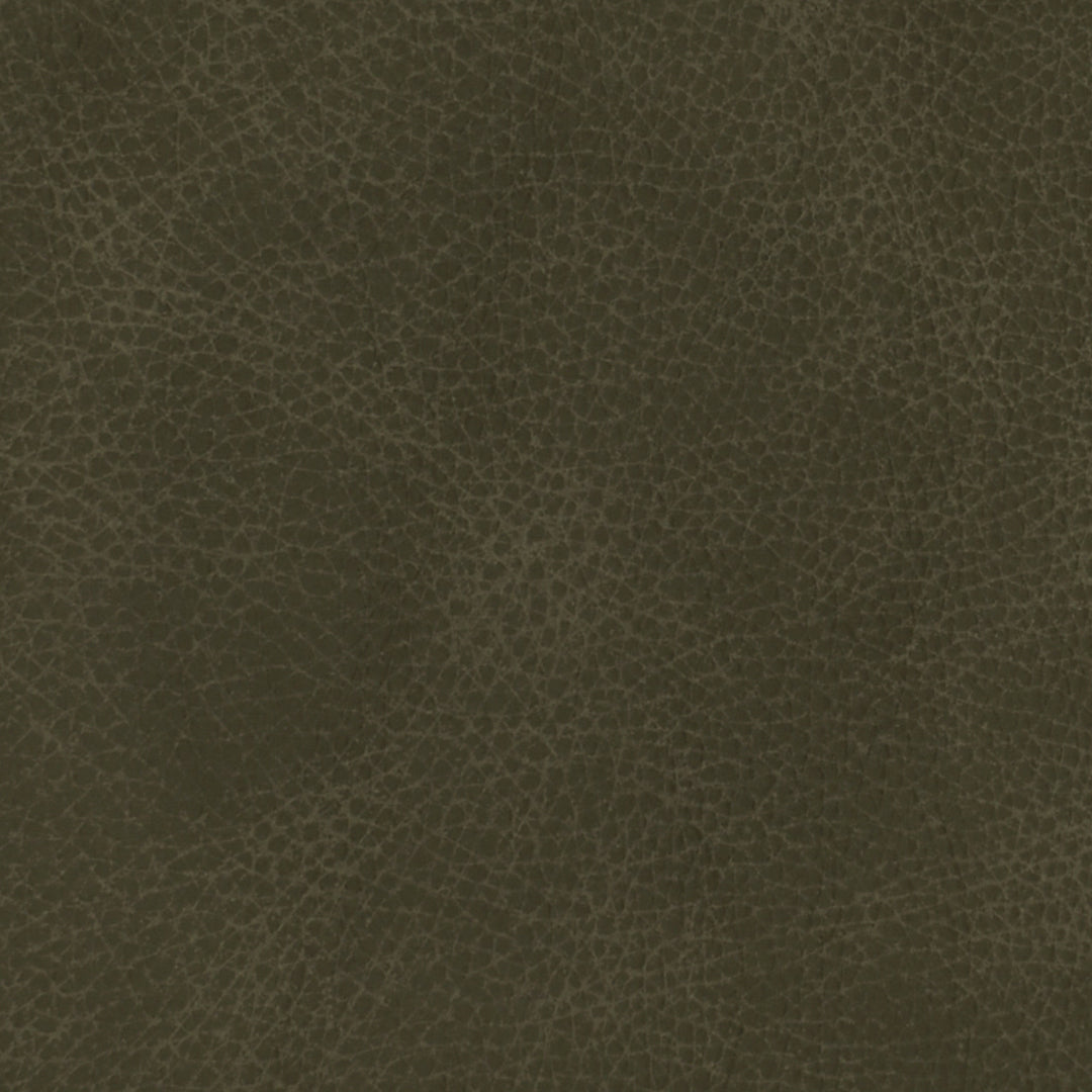 F3835 Dark Charcoal by Greenhouse Designer Fabric